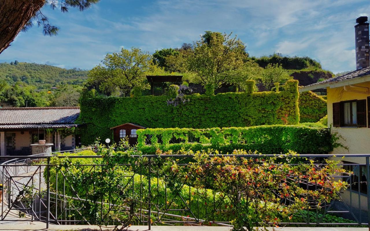 Agriturismo Le Vigne Больсена Екстер'єр фото