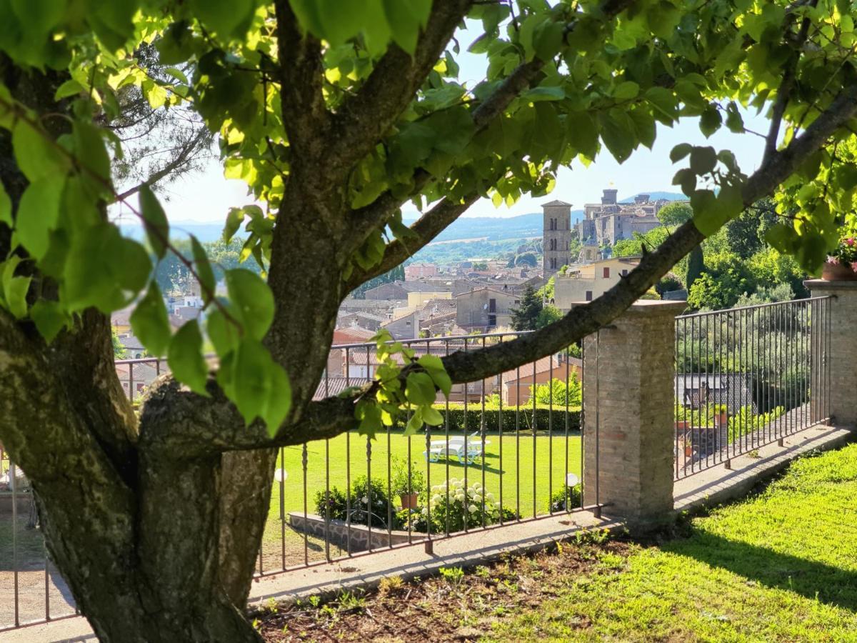 Agriturismo Le Vigne Больсена Екстер'єр фото