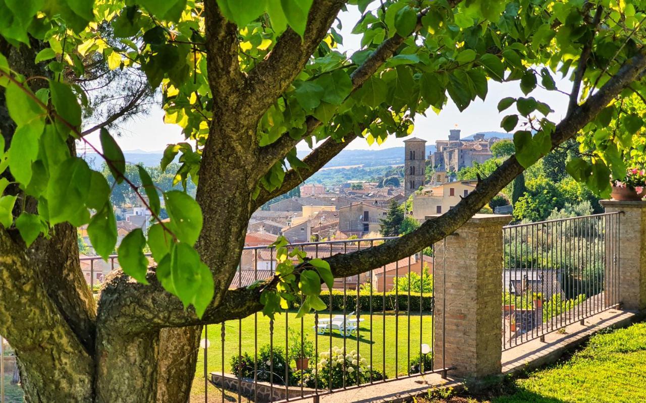 Agriturismo Le Vigne Больсена Екстер'єр фото